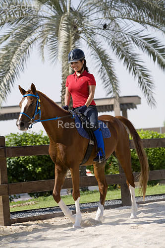 Jebel Ali Golf Resort & Spa 33